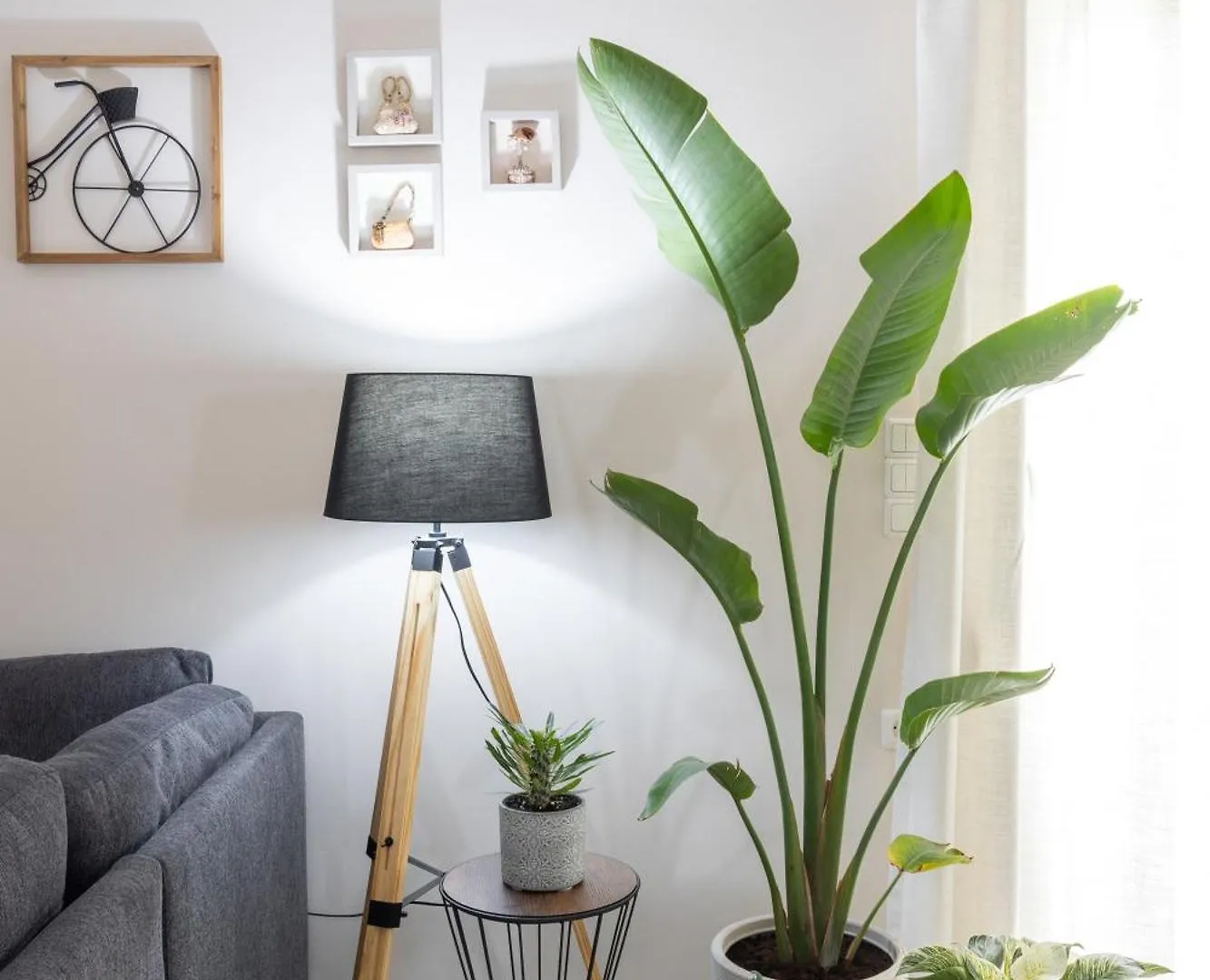 Olive Apartment Crete Rethymno